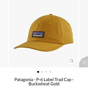 Patagonia - P-6 Label Trad Cap - Buckwheat Gold